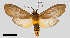  ( - MBe0250)  @11 [ ] © (2019) Unspecified Forest Zoology and Entomology (FZE) University of Freiburg