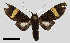  ( - MBe0269)  @11 [ ] © (2019) Unspecified Forest Zoology and Entomology (FZE) University of Freiburg