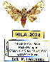  ( - MILA 2024)  @14 [ ] Unspecified (default): All Rights Reserved  Unspecified Unspecified