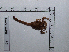  ( - INB0004325179)  @11 [ ] Copyright (2012) C. Viquez Instituto Nacional de Biodiversidad