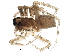  (Trabeops aurantiacus - BIOUG20597-G03)  @14 [ ] CreativeCommons - Attribution (2015) CBG Photography Group Centre for Biodiversity Genomics