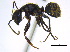  ( - BIOUG06760-B06)  @14 [ ] CreativeCommons - Attribution (2011) Unspecified Centre for Biodiversity Genomics
