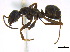  ( - BIOUG06760-C01)  @14 [ ] CreativeCommons - Attribution (2011) Unspecified Centre for Biodiversity Genomics