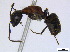  ( - BIOUG06760-F09)  @14 [ ] CreativeCommons - Attribution (2011) Unspecified Centre for Biodiversity Genomics