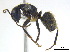  ( - BIOUG07487-C02)  @15 [ ] CreativeCommons - Attribution (2011) Unspecified Centre for Biodiversity Genomics