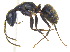  ( - BIOUG07487-C11)  @15 [ ] CreativeCommons - Attribution (2011) Unspecified Centre for Biodiversity Genomics
