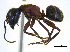  ( - BIOUG07487-G05)  @15 [ ] CreativeCommons - Attribution (2011) Unspecified Centre for Biodiversity Genomics