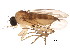  (Lecanocerus - BIOUG01426-G02)  @14 [ ] CreativeCommons - Attribution (2012) CBG Photography Group Centre for Biodiversity Genomics