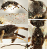  ( - DHJPAR0002687)  @12 [ ] CreativeCommons  Attribution Non-Commercial Share-Alike (2018) Jose Fernandez-Triana Canadian National Collection of Insects, Arachnids and Nematodes