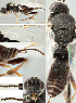  ( - DHJPAR0005275)  @12 [ ] CreativeCommons  Attribution Non-Commercial Share-Alike (2018) Jose Fernandez-Triana Canadian National Collection of Insects, Arachnids and Nematodes