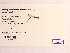  (Enallagma traviatum - UMMZI-MOS0036049)  @11 [ ] c (2021) Jose Andres Cornell Univeristy- Department of Ecology and Evolutionary Biology