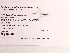  ( - UMMZI-MOS0036479)  @11 [ ] c (2021) Jose Andres Cornell Univeristy- Department of Ecology and Evolutionary Biology