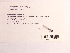  ( - UMMZI-UMMZI-00253162)  @11 [ ] c (2021) Jose Andres Cornell Univeristy- Department of Ecology and Evolutionary Biology