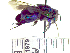  (Euglossa villosiventris - BB1979)  @11 [ ] CreativeCommons - Attribution Non-Commercial No Derivatives (2011) Dr. Berry Brosi Emory University