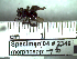  ( - BB2346)  @12 [ ] CreativeCommons - Attribution Non-Commercial No Derivatives (2011) Dr. Berry Brosi Emory University