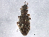  (Hydrochus neosquamifer - BIOUG01840-G09)  @14 [ ] CreativeCommons - Attribution (2012) CBG Photography Group Centre for Biodiversity Genomics
