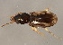  (Bembidion impotens - BIOUG00669-B07)  @14 [ ] CreativeCommons - Attribution (2010) CBG Photography Group Centre for Biodiversity Genomics