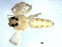  ( - CCDB-08502-A10)  @12 [ ] CreativeCommons - Attribution  Gergin Blagoev, Centre for Biodiversity Genomics Unspecified