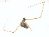  (Psilochorus californiae - BIOUG01576-A01)  @12 [ ] Copyright  G. Blagoev 2011 Unspecified