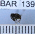  (Conotrachelus sp85HB - YB-BAR 139)  @11 [ ] No Rights Reserved  Unspecified Unspecified