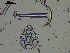  ( - EQU4400(1)_Elap)  @11 [ ] by-nc-sa  INVEMAR INVEMAR-BEM