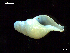  ( - MT07704)  @11 [ ] CreativeCommons - Attribution Non-Commercial Share-Alike (2015) Unspecified Deutsche Zentrum fuer Marine Biodiversitaetsforschung Wilhelmshaven