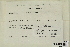  ( - CCDB-25691-D02)  @11 [ ] CreativeCommons - Attribution Non-Commercial Share-Alike (2018) Masha L. Kuzmina Canadian Centre for DNA Barcoding