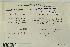  ( - CCDB-25691-D07)  @11 [ ] CreativeCommons - Attribution Non-Commercial Share-Alike (2018) Masha L. Kuzmina Canadian Centre for DNA Barcoding