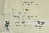  (Andreaea obovata - CCDB-25691-E07)  @11 [ ] CreativeCommons - Attribution Non-Commercial Share-Alike (2018) Masha L. Kuzmina Canadian Centre for DNA Barcoding