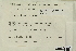  (Ptychostomum longisetum - CCDB-25691-G09)  @11 [ ] CreativeCommons - Attribution Non-Commercial Share-Alike (2018) Masha L. Kuzmina Canadian Centre for DNA Barcoding