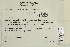  ( - CCDB-25692-B01)  @11 [ ] CreativeCommons - Attribution Non-Commercial Share-Alike (2018) Masha L. Kuzmina Canadian Centre for DNA Barcoding