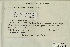  (Disceliaceae - CCDB-25692-D08)  @11 [ ] CreativeCommons - Attribution Non-Commercial Share-Alike (2018) Masha L. Kuzmina Canadian Centre for DNA Barcoding