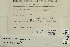  (Grimmia elongata - CCDB-25693-B02)  @11 [ ] CreativeCommons - Attribution Non-Commercial Share-Alike (2018) Masha L. Kuzmina Canadian Centre for DNA Barcoding