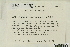  (Orthotrichum pulchellum - CCDB-25693-C10)  @11 [ ] CreativeCommons - Attribution Non-Commercial Share-Alike (2018) Masha L. Kuzmina Canadian Centre for DNA Barcoding