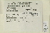  (Oligotrichum - CCDB-25693-D12)  @11 [ ] CreativeCommons - Attribution Non-Commercial Share-Alike (2018) Masha L. Kuzmina Canadian Centre for DNA Barcoding