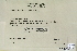  (Grimmia anomala - CCDB-25693-E02)  @11 [ ] CreativeCommons - Attribution Non-Commercial Share-Alike (2018) Masha L. Kuzmina Canadian Centre for DNA Barcoding