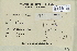  (Orthothecium chryseum - CCDB-25693-F10)  @11 [ ] CreativeCommons - Attribution Non-Commercial Share-Alike (2018) Masha L. Kuzmina Canadian Centre for DNA Barcoding