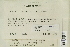  (Fontinalis antipyretica - CCDB-25693-G01)  @11 [ ] CreativeCommons - Attribution Non-Commercial Share-Alike (2018) Masha L. Kuzmina Canadian Centre for DNA Barcoding