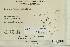  (Orthotrichum pylaisii - CCDB-25693-H11)  @11 [ ] CreativeCommons - Attribution Non-Commercial Share-Alike (2018) Masha L. Kuzmina Canadian Centre for DNA Barcoding