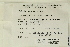  (Pohlia erecta - CCDB-25694-C03)  @11 [ ] CreativeCommons - Attribution Non-Commercial Share-Alike (2018) Masha L. Kuzmina Canadian Centre for DNA Barcoding