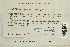  (Niphotrichum canescens latifolium - CCDB-25694-C06)  @11 [ ] CreativeCommons - Attribution Non-Commercial Share-Alike (2018) Masha L. Kuzmina Canadian Centre for DNA Barcoding