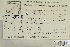  (Pohlia bulbifera - CCDB-25694-D02)  @11 [ ] CreativeCommons - Attribution Non-Commercial Share-Alike (2018) Masha L. Kuzmina Canadian Centre for DNA Barcoding