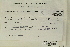  (Niphotrichum ericoides - CCDB-25694-H07)  @11 [ ] CreativeCommons - Attribution Non-Commercial Share-Alike (2018) Masha L. Kuzmina Canadian Centre for DNA Barcoding