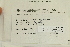  (Thuidium delicatulum var. radicans - CCDB-25694-H10)  @11 [ ] CreativeCommons - Attribution Non-Commercial Share-Alike (2018) Masha L. Kuzmina Canadian Centre for DNA Barcoding