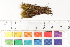  ( - CCDB-34698-B06)  @11 [ ] CreativeCommons - Attribution (2019) CBG Photography Group Centre for Biodiversity Genomics