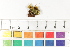  ( - CCDB-34698-B12)  @11 [ ] CreativeCommons - Attribution (2019) CBG Photography Group Centre for Biodiversity Genomics