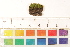  ( - CCDB-34700-H09)  @11 [ ] CreativeCommons - Attribution (2019) CBG Photography Group Centre for Biodiversity Genomics