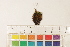  ( - CCDB-34701-E04)  @11 [ ] CreativeCommons - Attribution (2019) CBG Photography Group Centre for Biodiversity Genomics