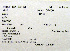  ( - 1B-1756)  @12 [ ] CreativeCommons - Attribution (2010) Unspecified Royal Ontario Museum