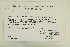  ( - CCDB-25687-A04)  @11 [ ] CreativeCommons - Attribution Non-Commercial Share-Alike (2018) Masha L. Kuzmina Canadian Centre for DNA Barcoding